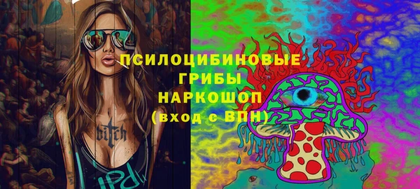 дживик Аркадак