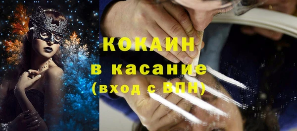 дживик Аркадак