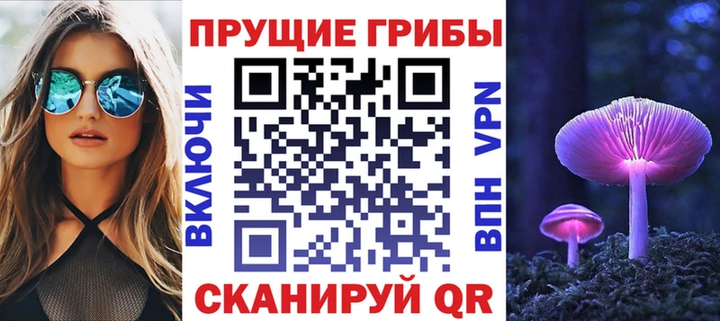 MEGA ССЫЛКА Сергач Псилоцибиновые грибы Cubensis цены