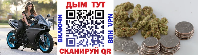 купить  сайты  Сергач  МАРИХУАНА VHQ 